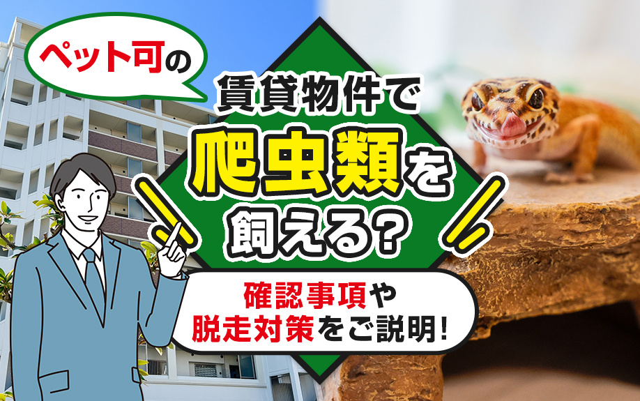 ペット可の賃貸物件で爬虫類を飼える？確認事項や脱走対策をご説明！の画像