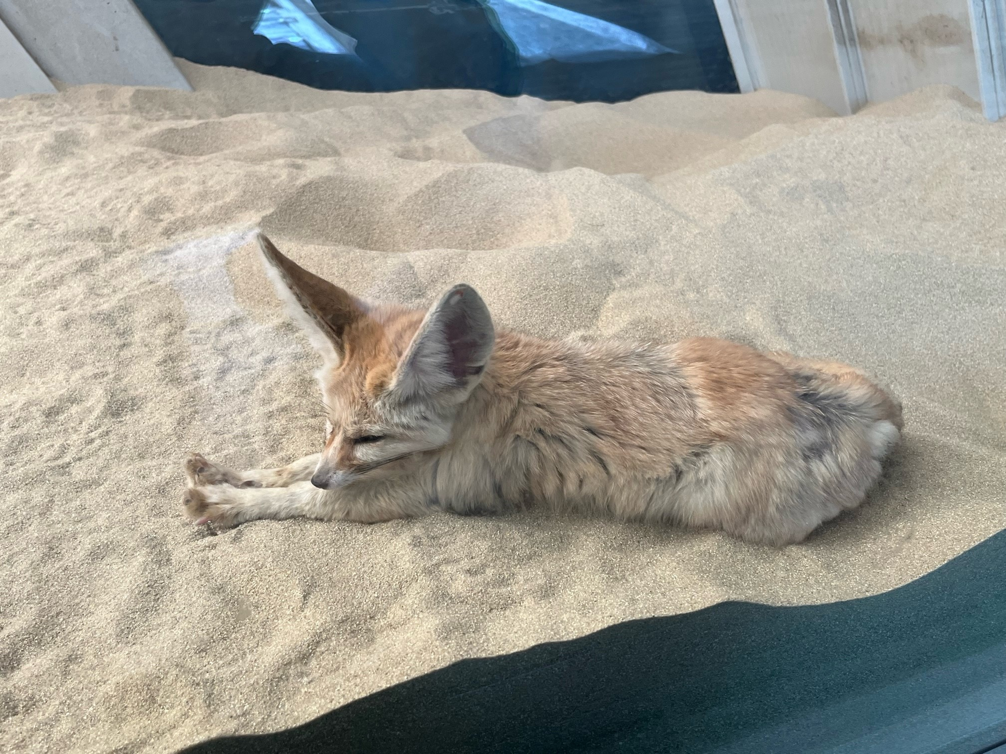 福島へ行きました。の画像