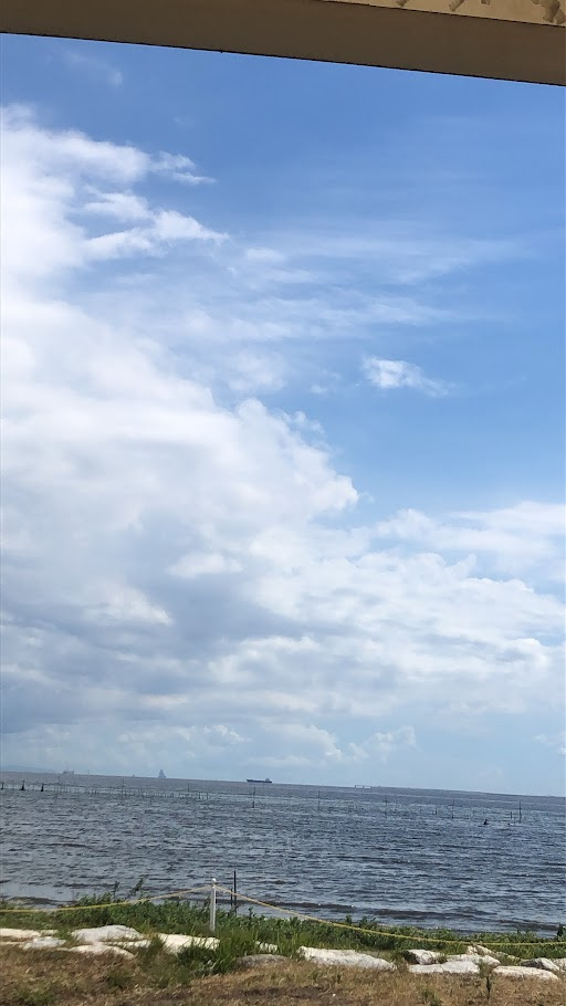 まだまだ夏ですね(^^)/の画像