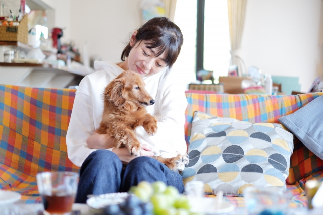 ペットの存在はマンション査定に影響する？売却前の注意点などをご紹介の画像