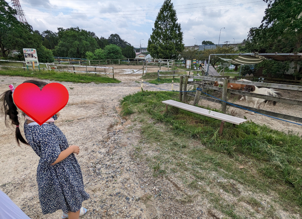 ★★　愛知牧場　★★の画像