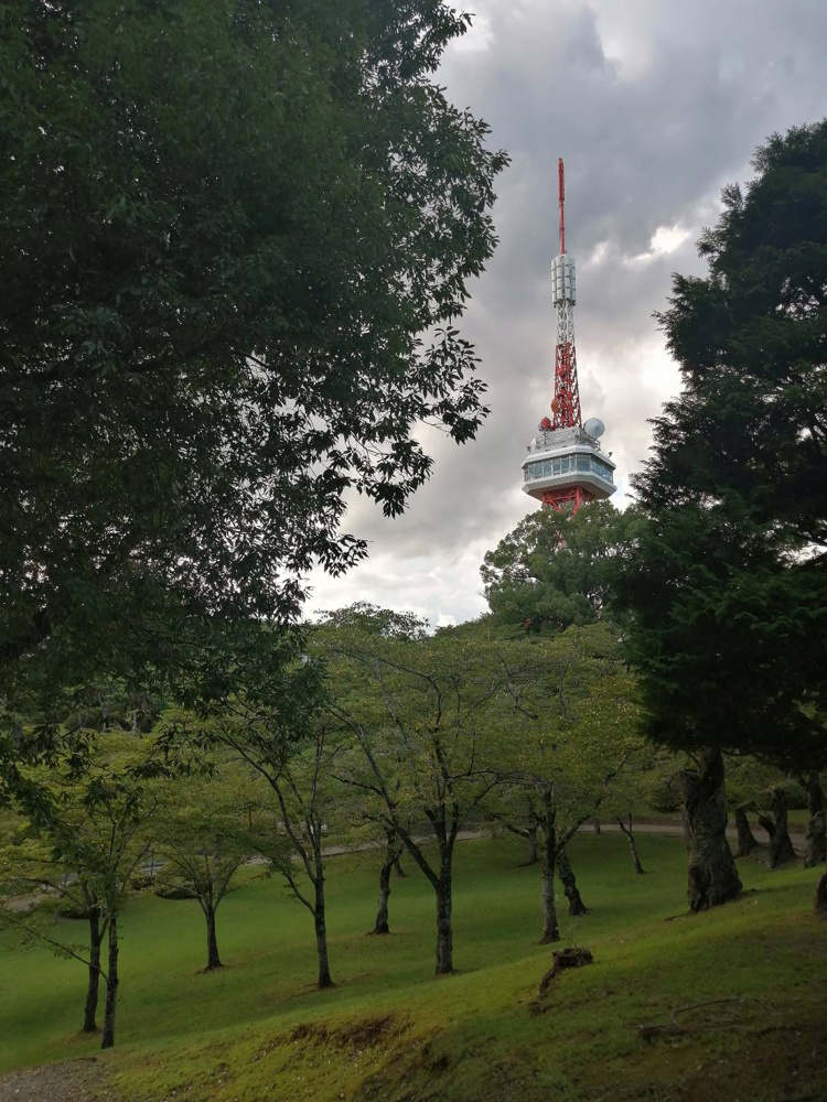 穴場のほのぼのスポット☆の画像