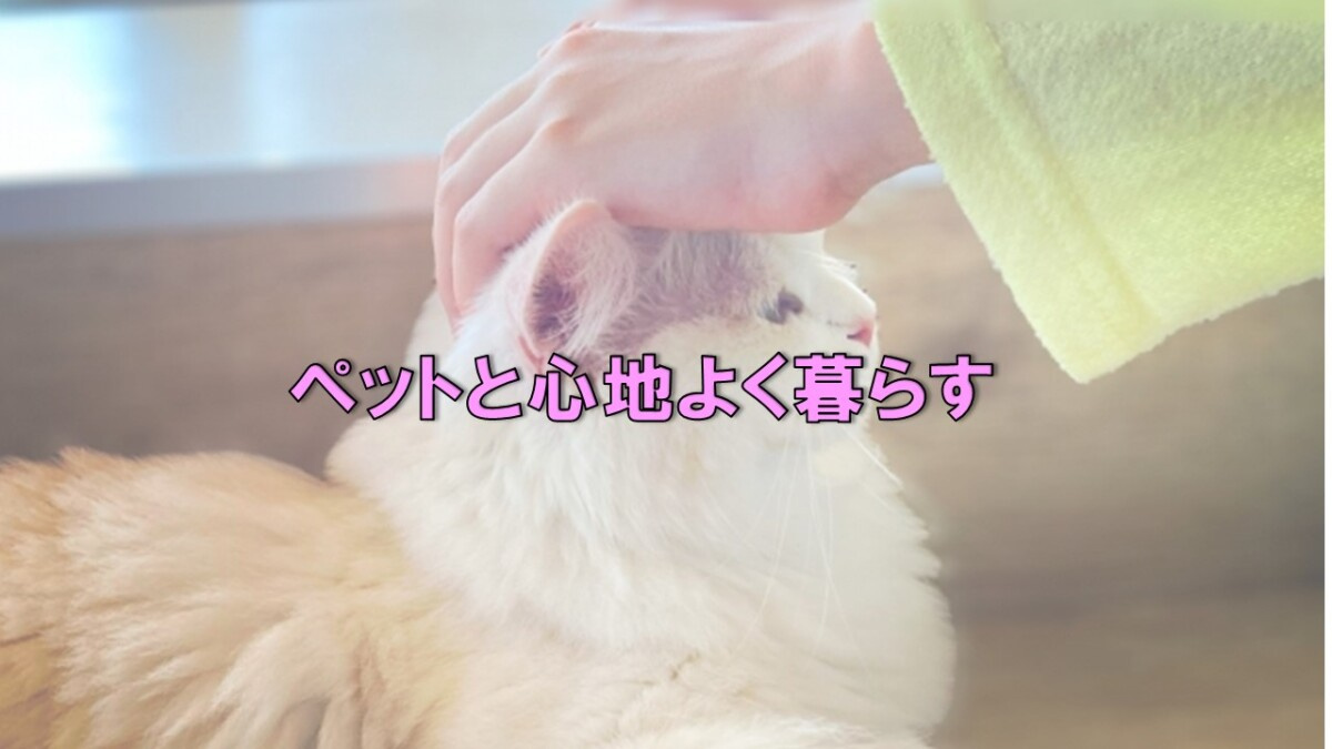 ペットと心地よく暮らすの画像