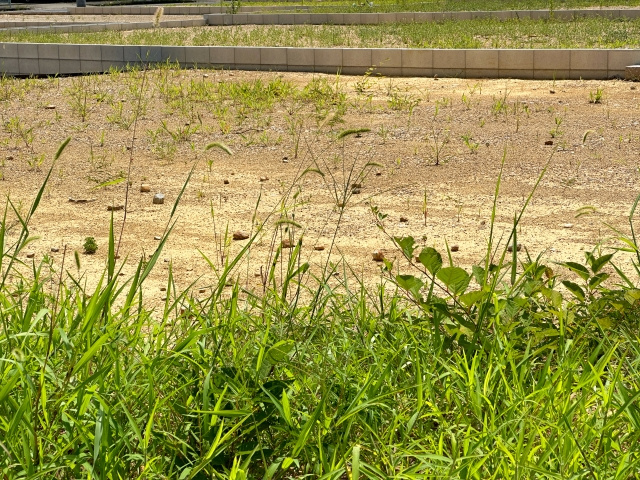 土地売買契約の流れとは？購入時と売却時の違いや必要書類をご紹介