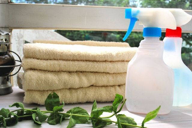 掃除の頻度はライフスタイルによって違う