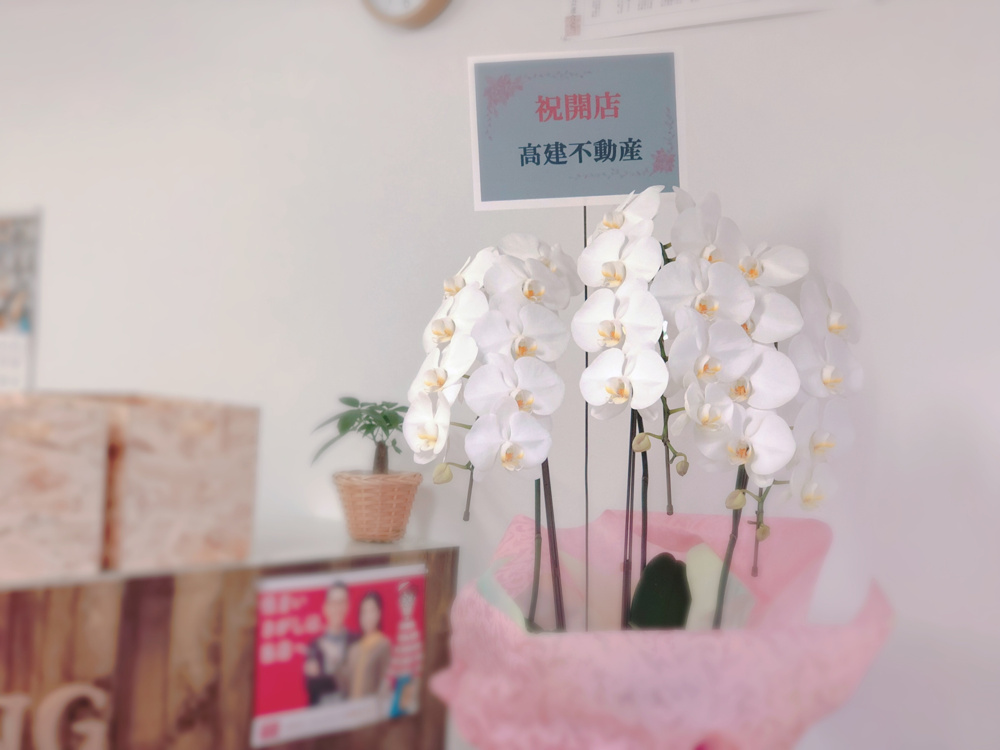 お花頂きましたの画像