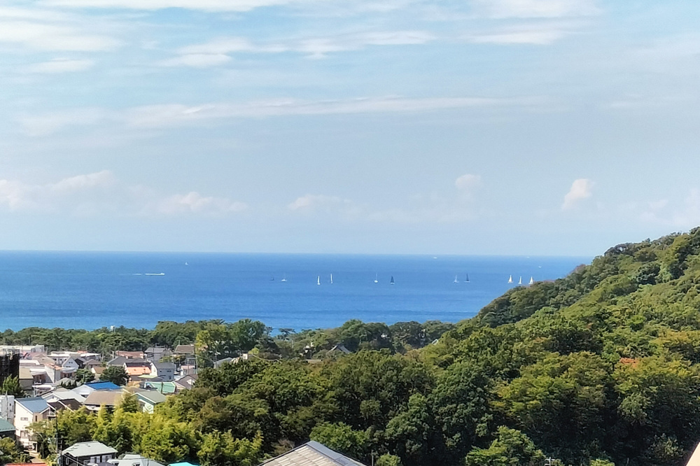 暑い日差しと秋風（2023.9.4）の画像