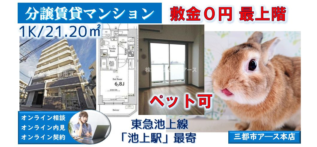 【XEBEC池上】