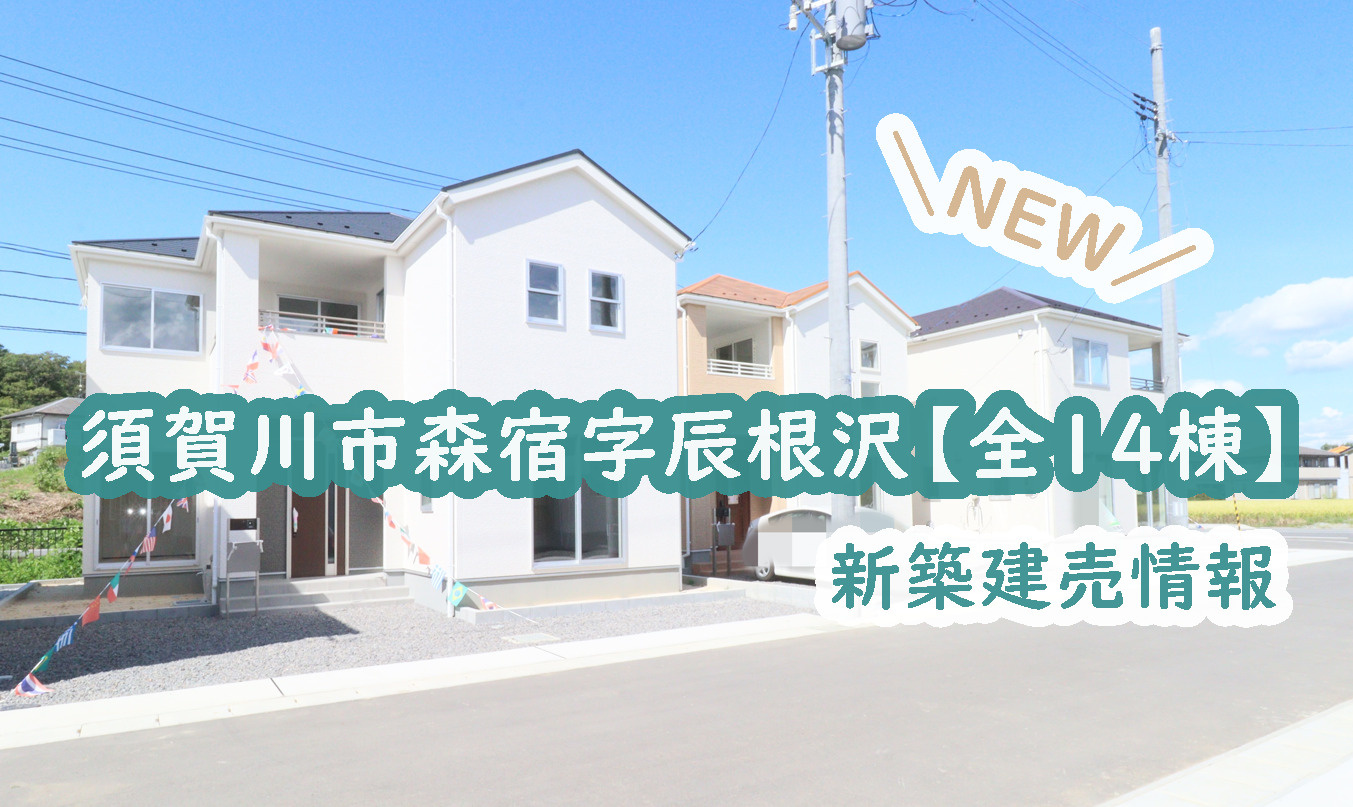 須賀川市【森宿字辰根沢】の新築建売情報！の画像