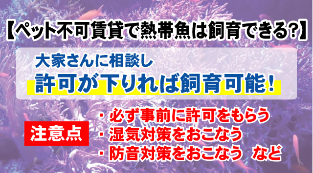 ペット不可の賃貸住宅で熱帯魚は飼育できるのか