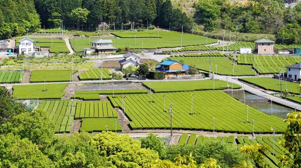 市街化調整区域にある不動産の売却　注意点と売却方法の画像