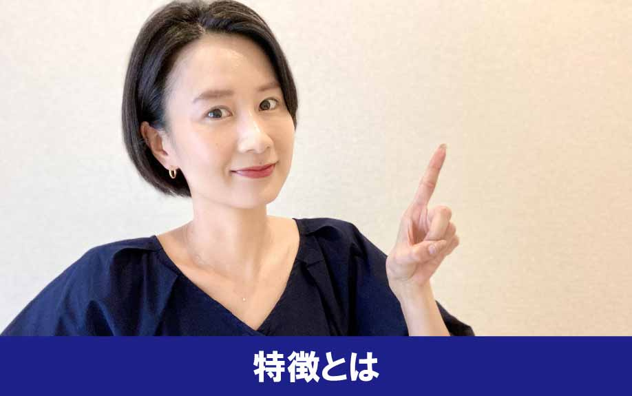 京橋から歩いて行ける大阪城の特徴について