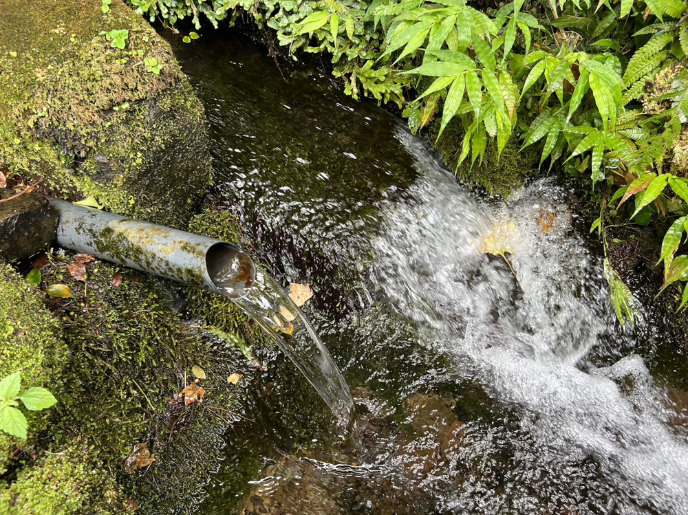 山本の独り言の画像