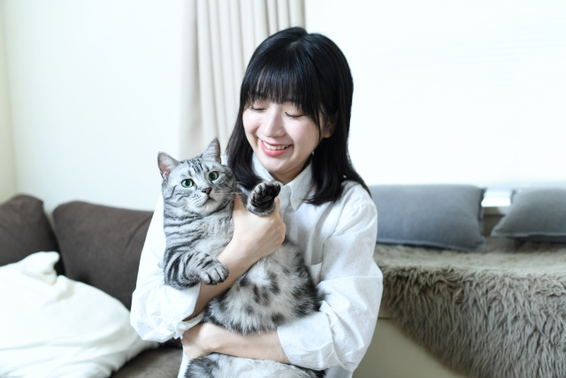 マンション飼育に向いている猫の特徴は？人気の種類や飼育の注意点もご紹介