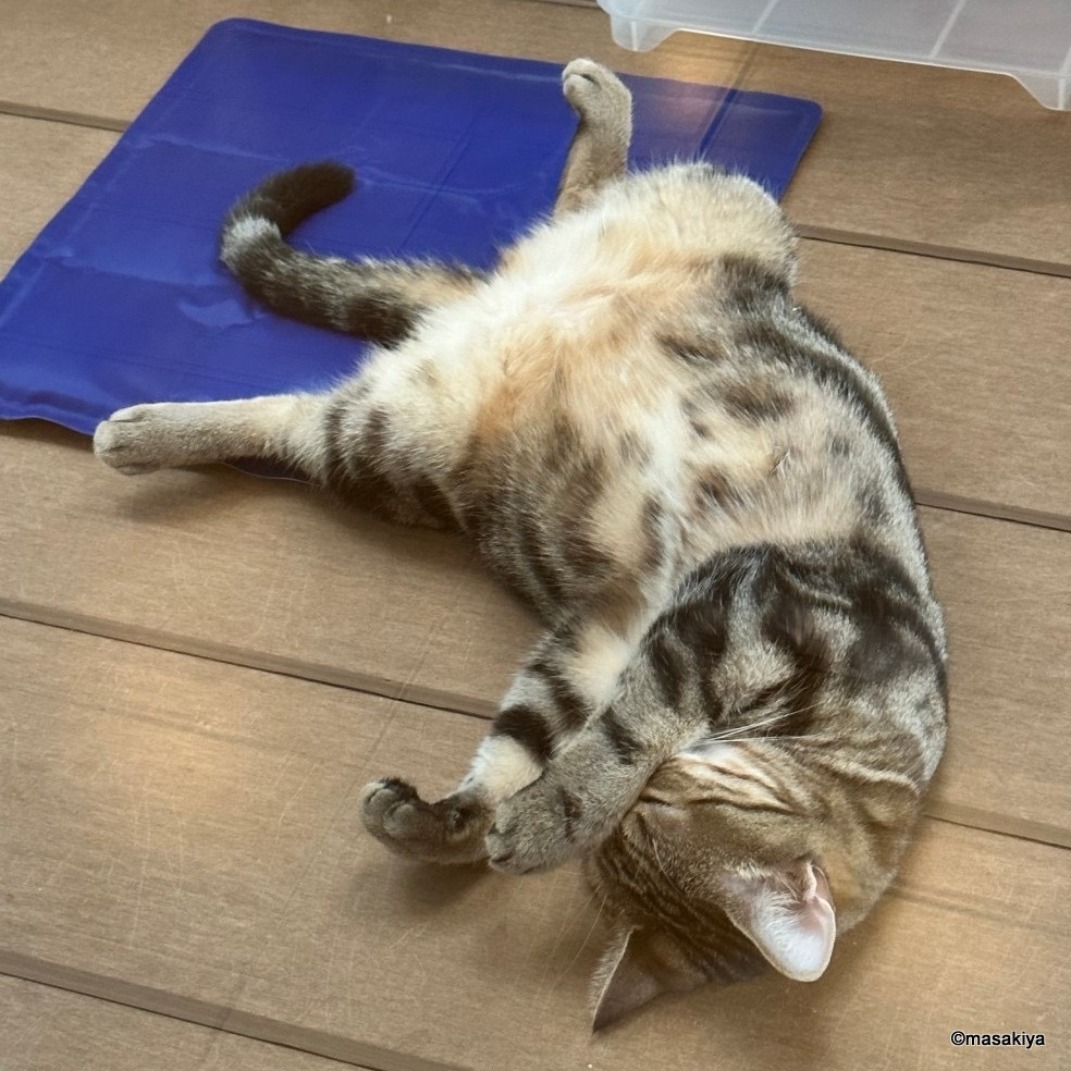 健康診断2の画像