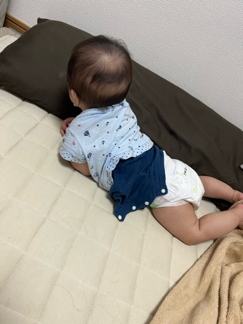 最近の息子の画像