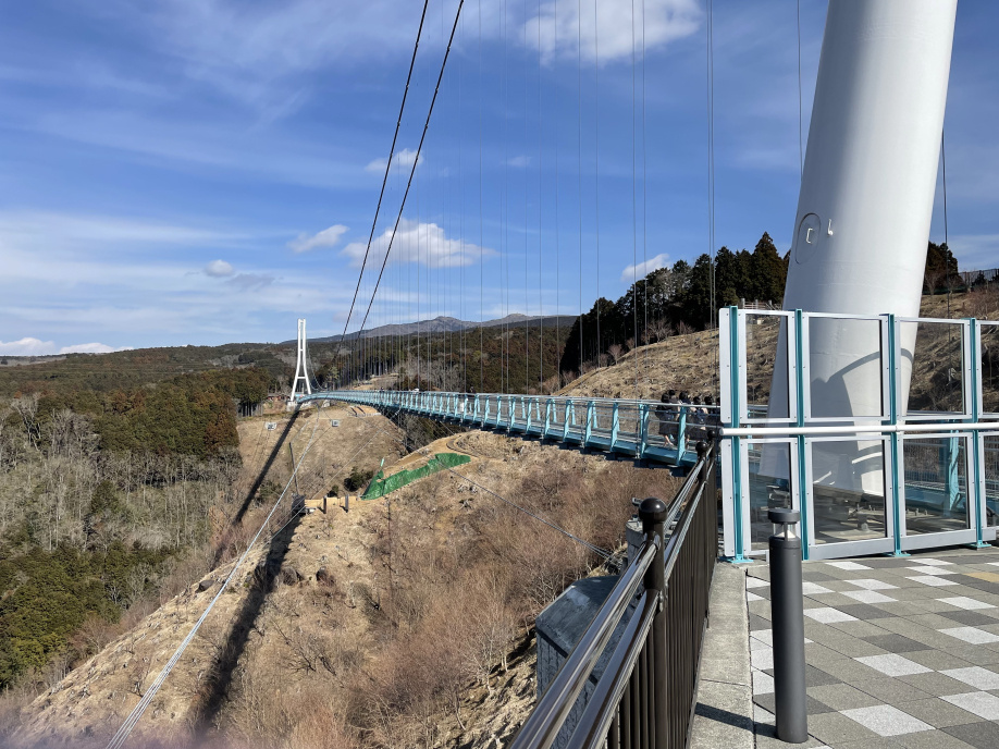 静岡といえば？の画像