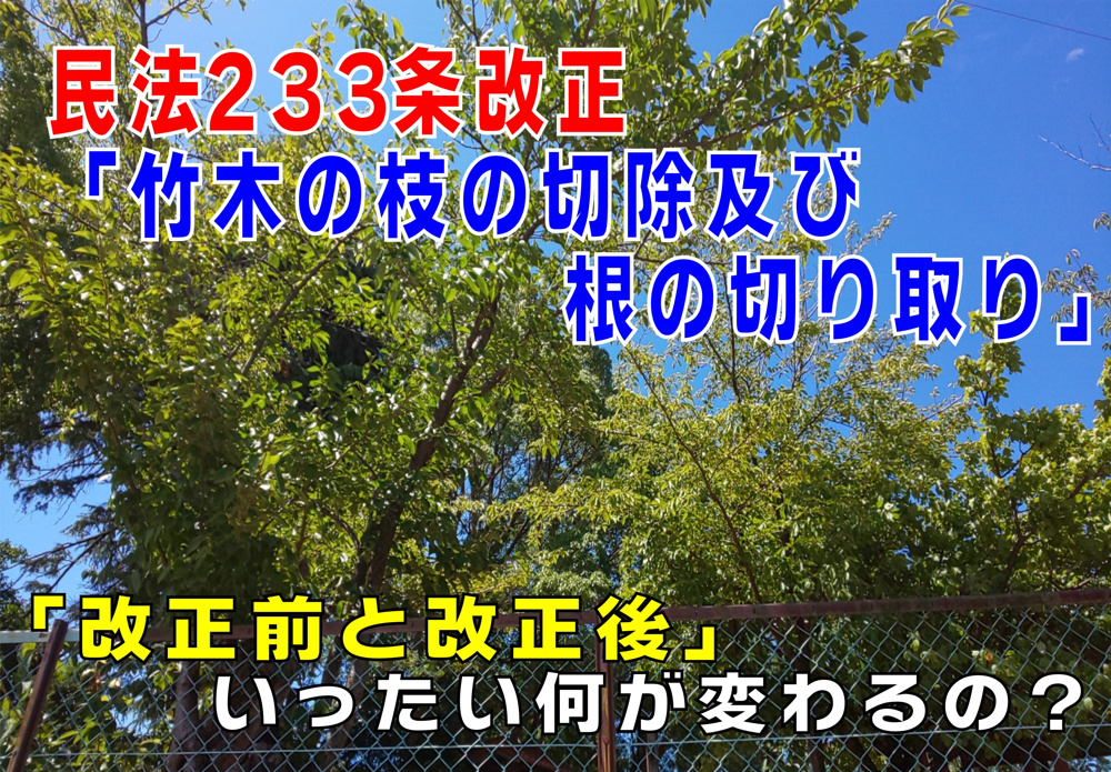 不動産Q&A：「民法第233条改正　竹木の枝の切除及び根の切取り」の画像