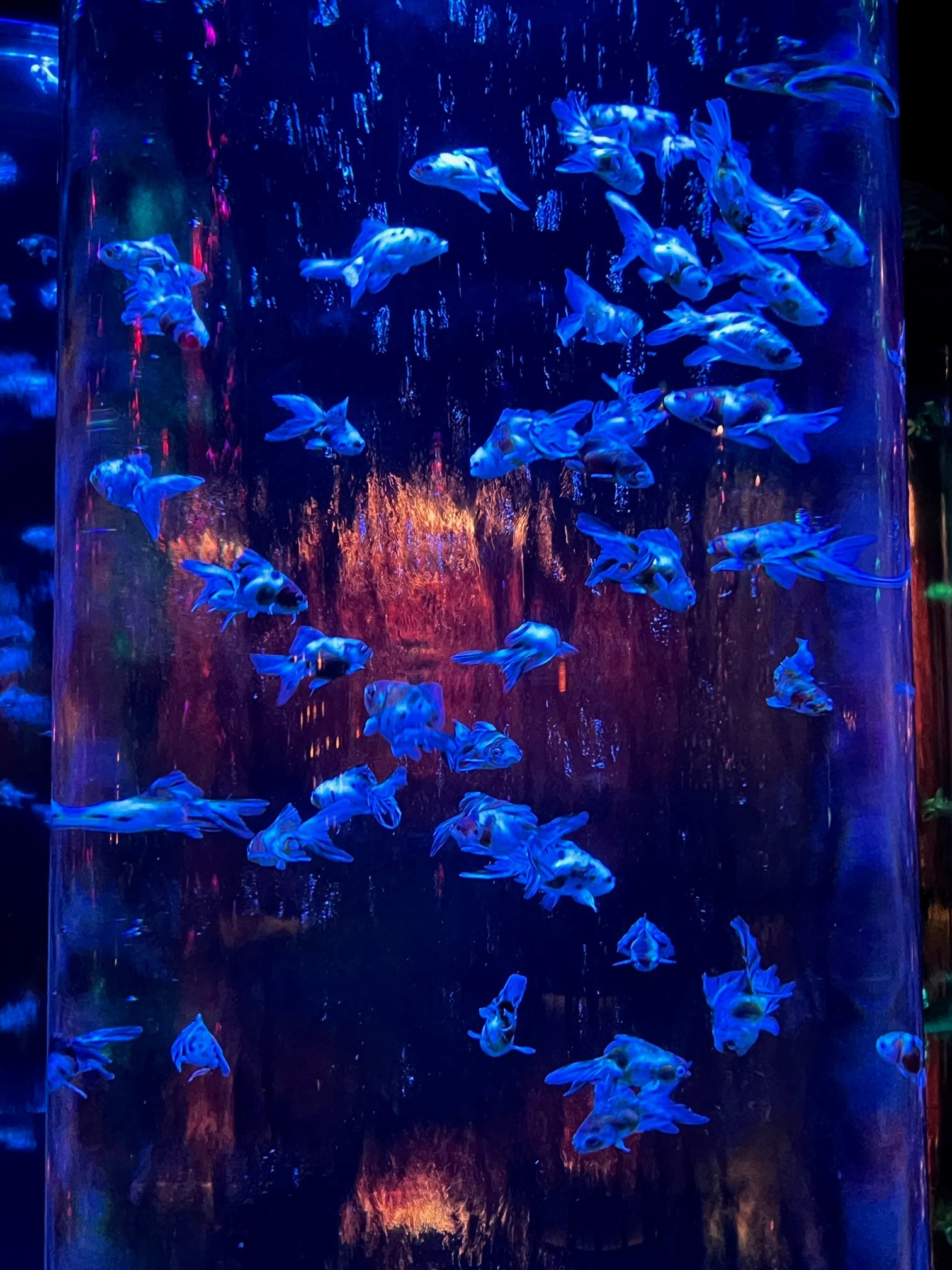 あーとあくありうむの画像