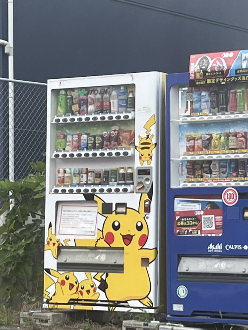 こんなところに！の画像