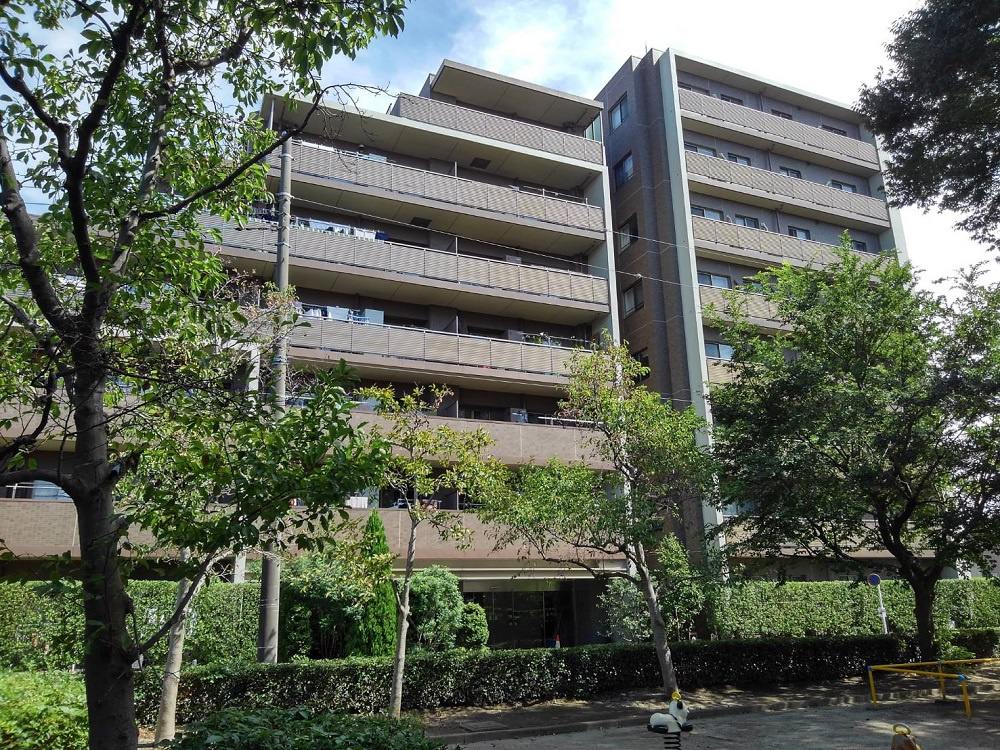 【販売開始】の画像