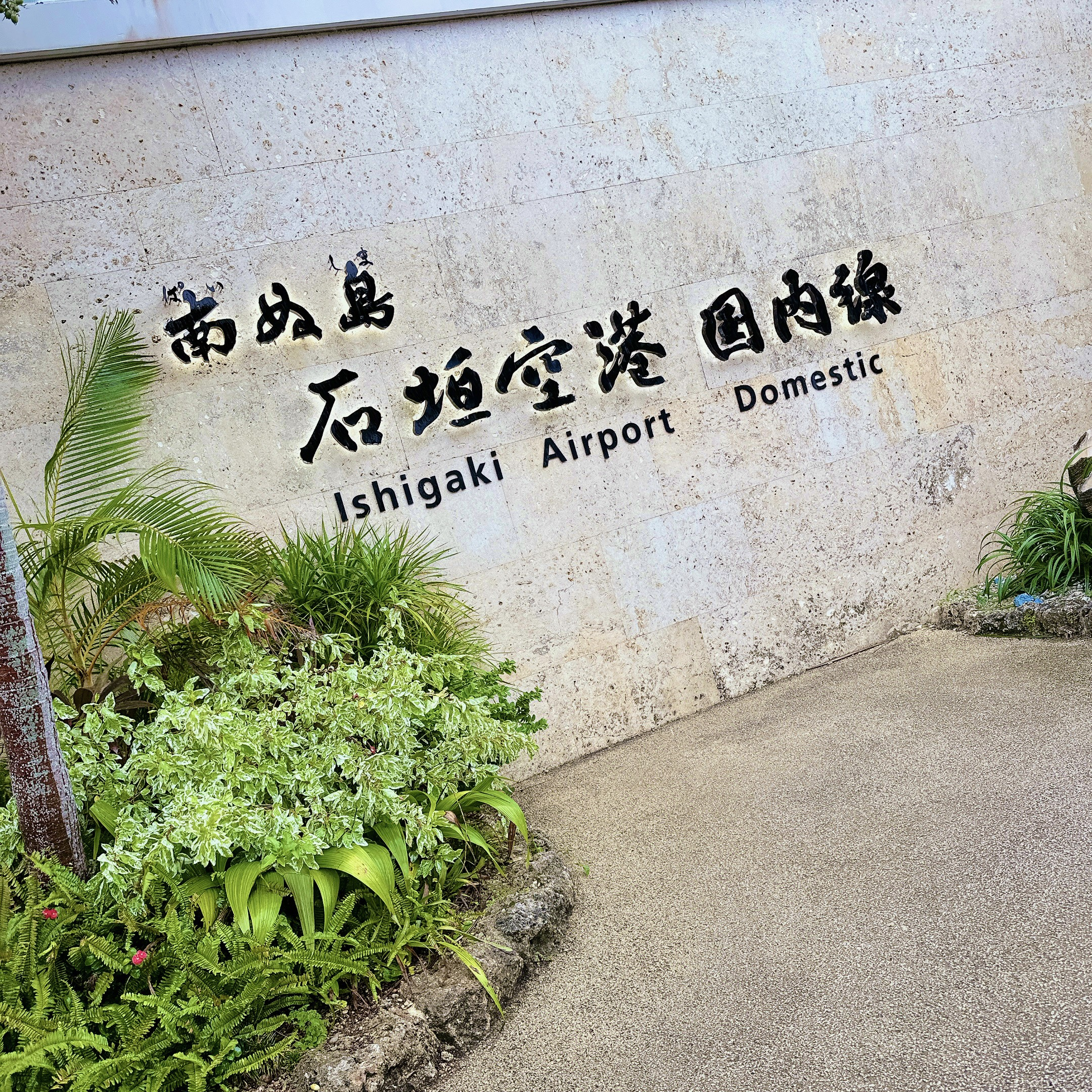 卒業旅行ぶりの空の旅♪♪の画像