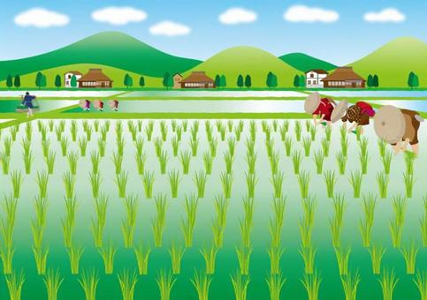 農地売却　田んぼ・畑の売却方法や注意点を解説します。の画像