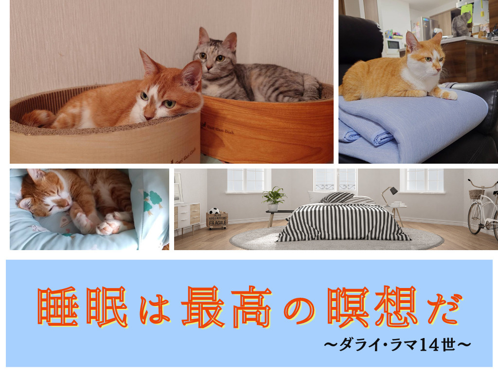 Ne・Do・Koの画像