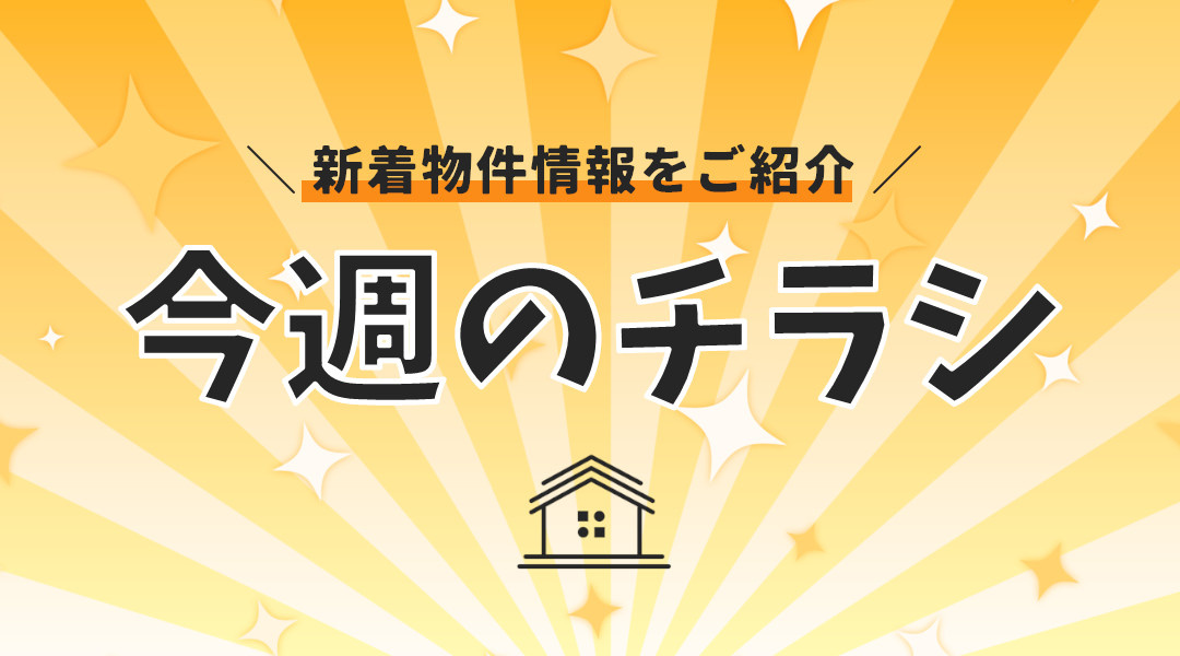 今週の折込チラシの画像