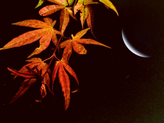 前日には「宵宮祭」も開催