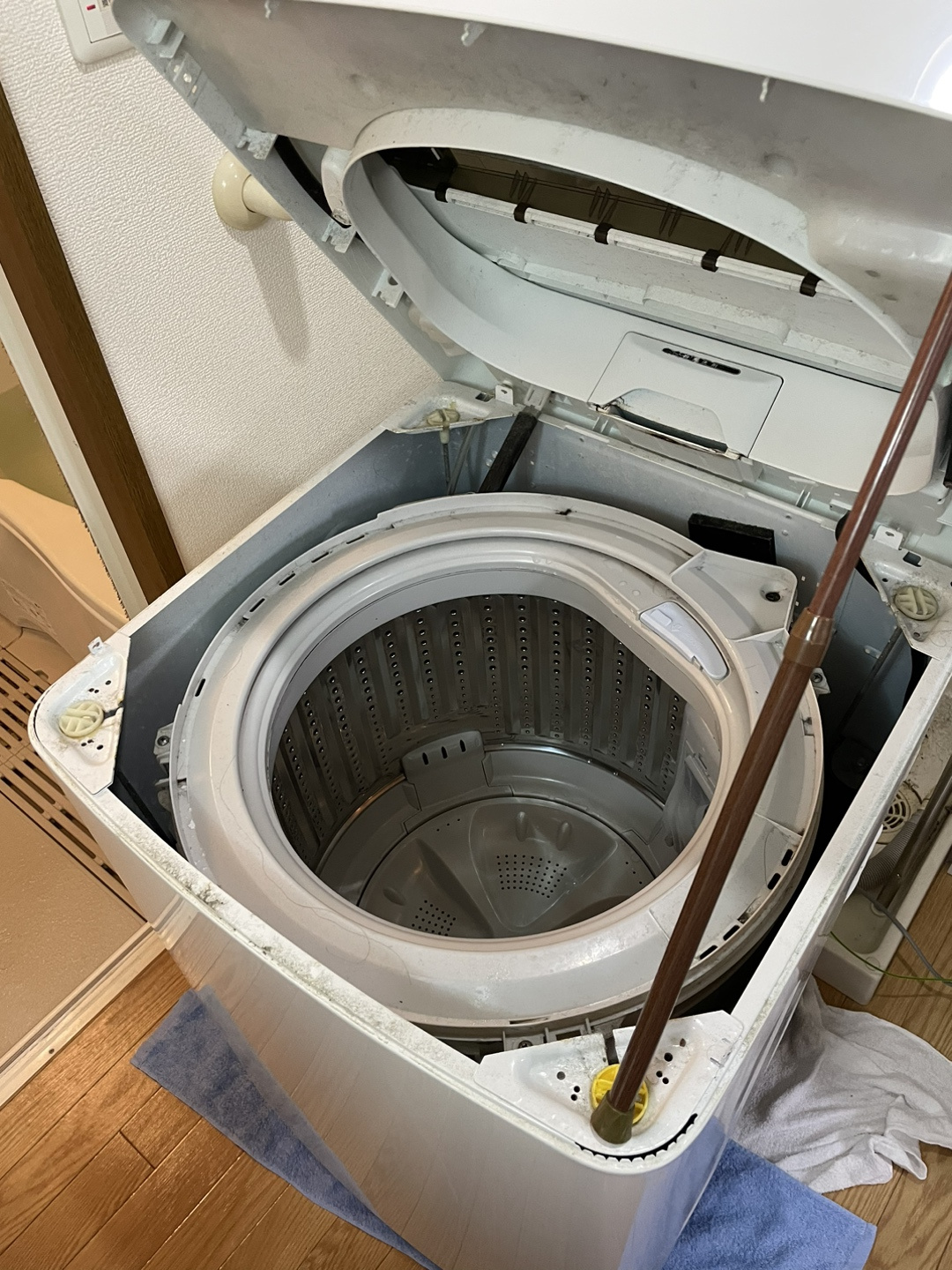 自分でやってみるの画像
