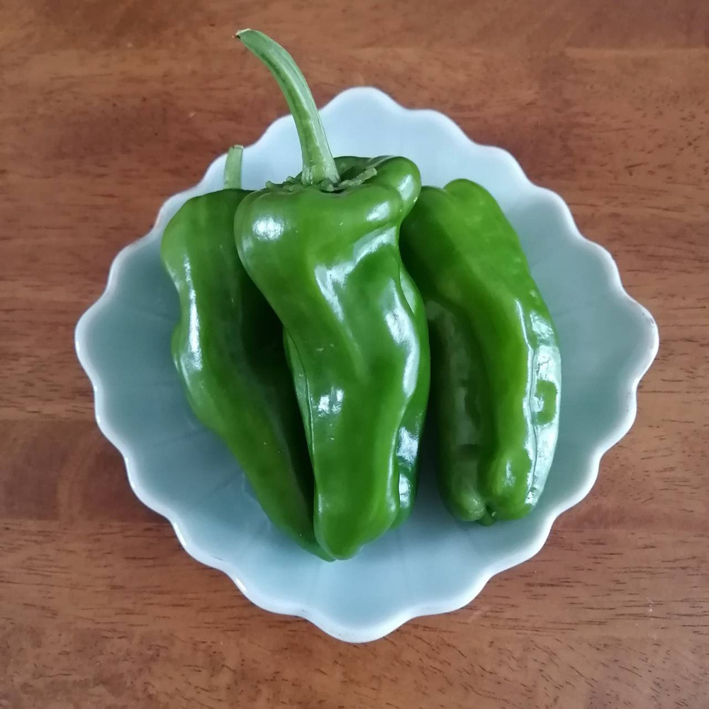 食欲の秋の画像