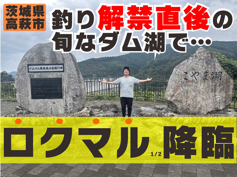 １０月５日：解禁という甘い言葉に踊らされた話しの画像