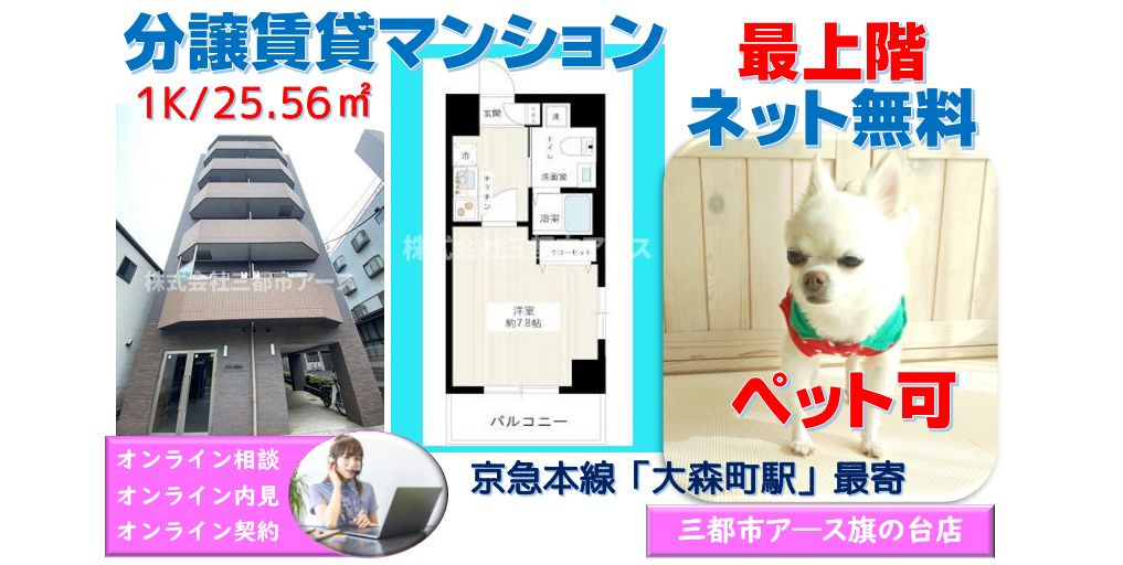 【HY’s diletto】