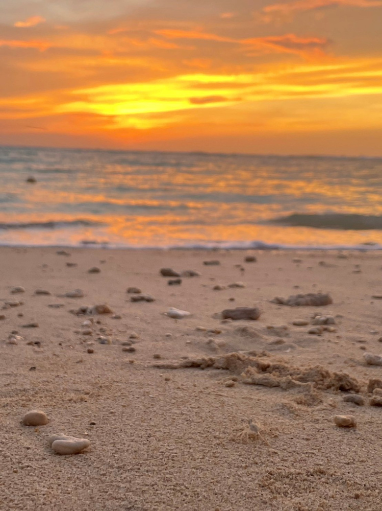 みなさんの夏の思い出は？？の画像