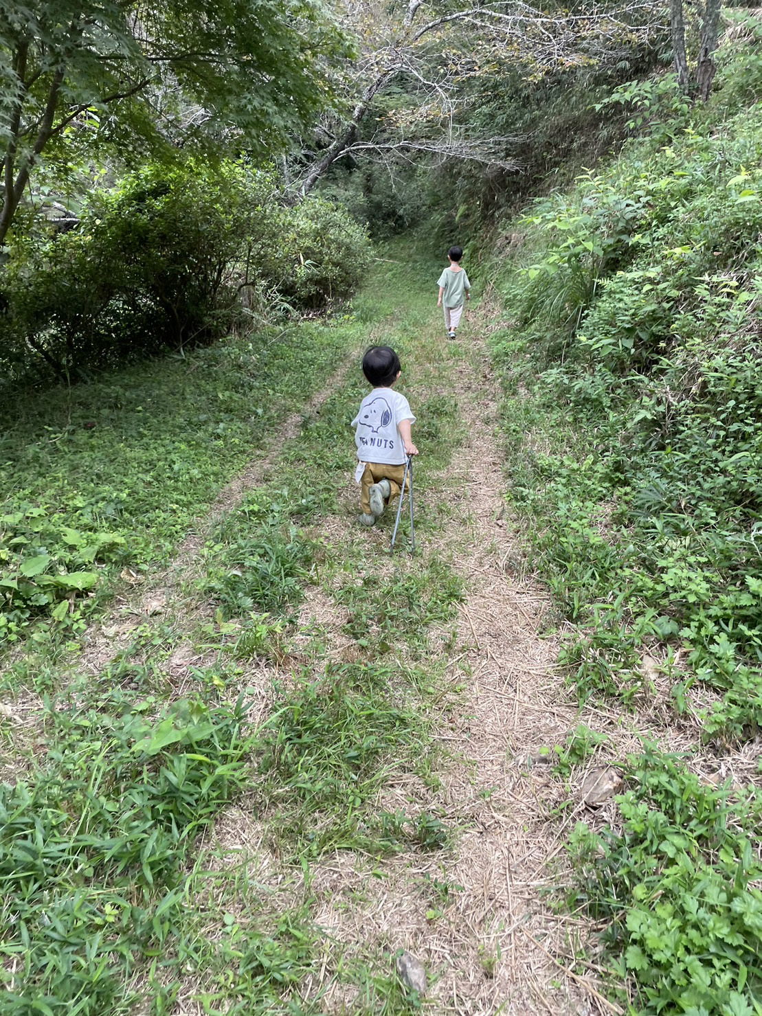 秋の味覚を得に!!の画像