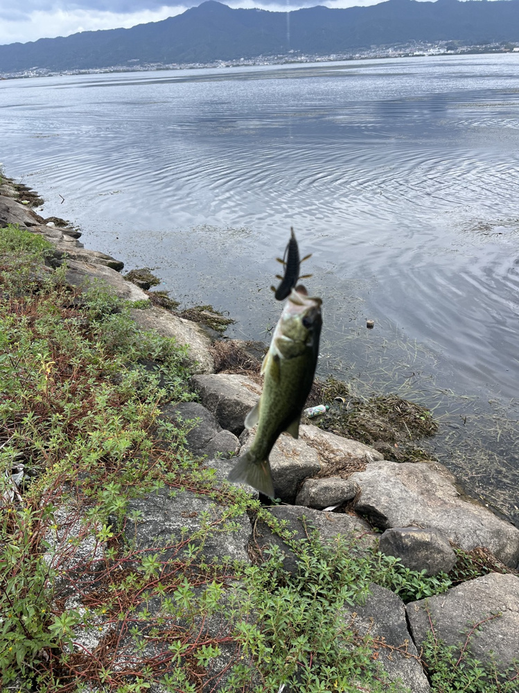 琵琶湖！釣り！ホルモン鍋！！の画像