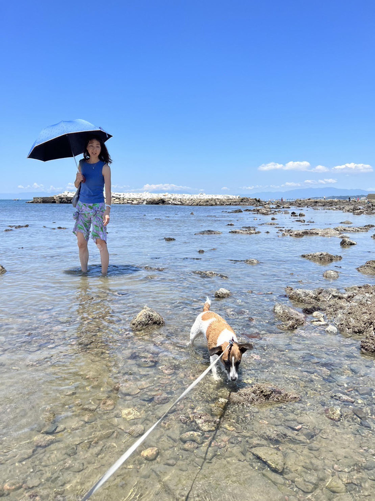 はじめまして！の画像