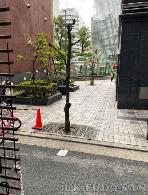 【中央区安土町】ハウザー堺筋本町駅前ビル 1階 テナントの画像