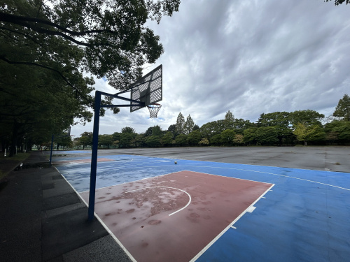雨上がりの休日の画像
