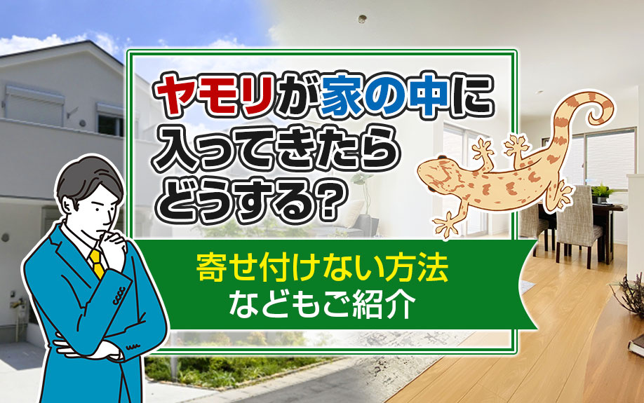 ヤモリが家の中に入ってきたらどうする？寄せ付けない方法などもご紹介の画像