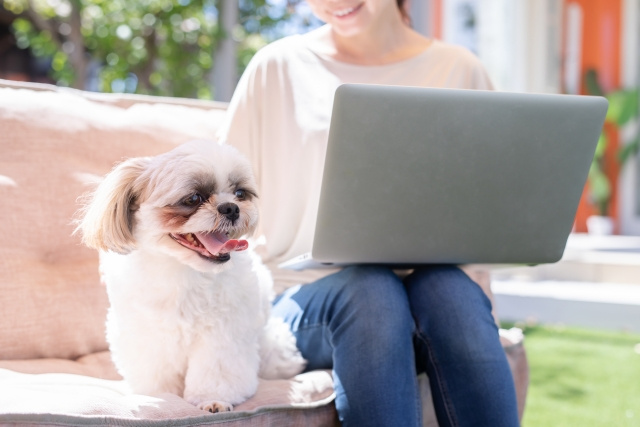 ペットを飼っていた不動産の売却は不利？その理由と対策を解説の画像