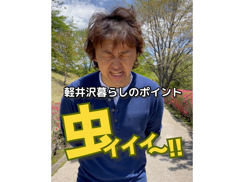【軽井沢は虫が多い!?】～軽井沢に住む方々へ～の画像
