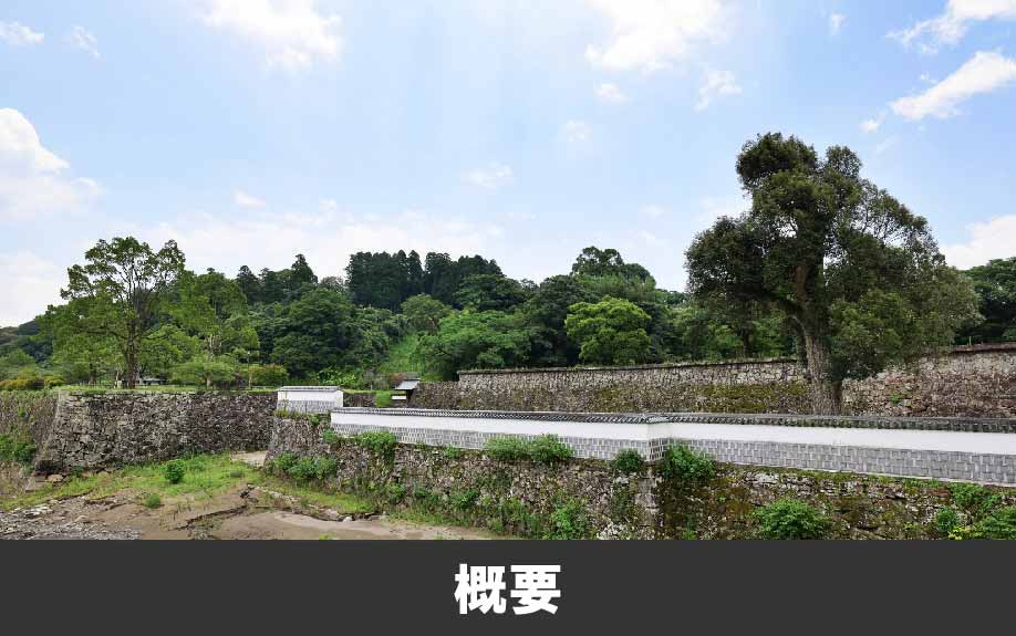 競売の場合では引っ越し代はもらえる？