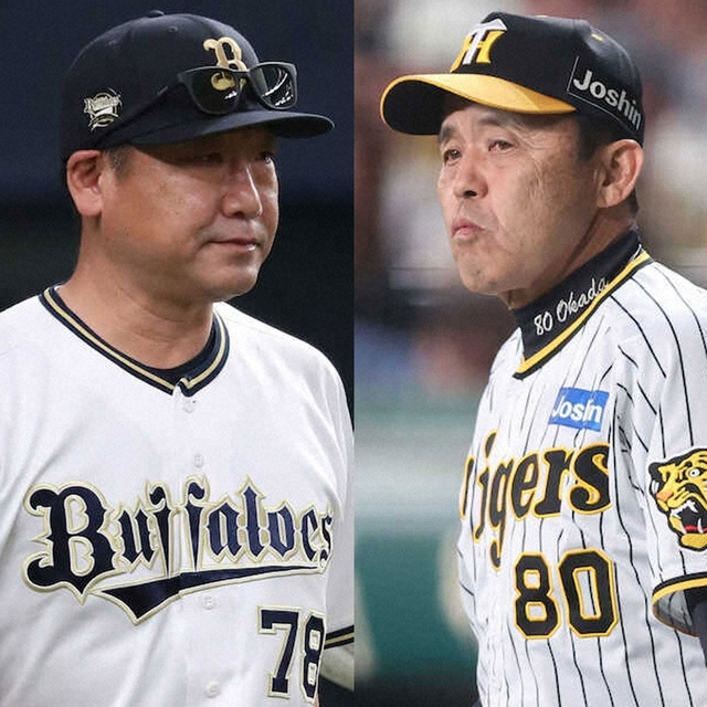 ~日本シリーズ~の画像