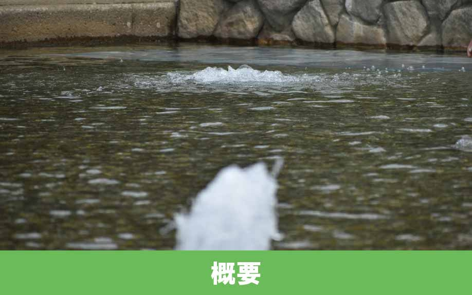 厚木市にあるぼうさいの丘公園の概要