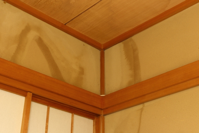 空き家が雨漏りする原因とは？放置するデメリットや対策もご紹介の画像