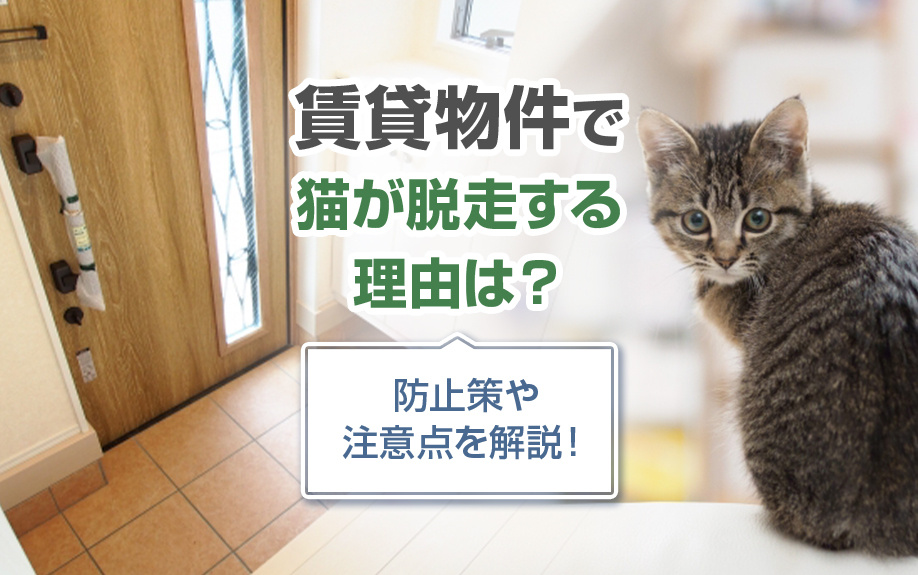 賃貸物件で猫が脱走する理由は？防止策や注意点を解説！の画像