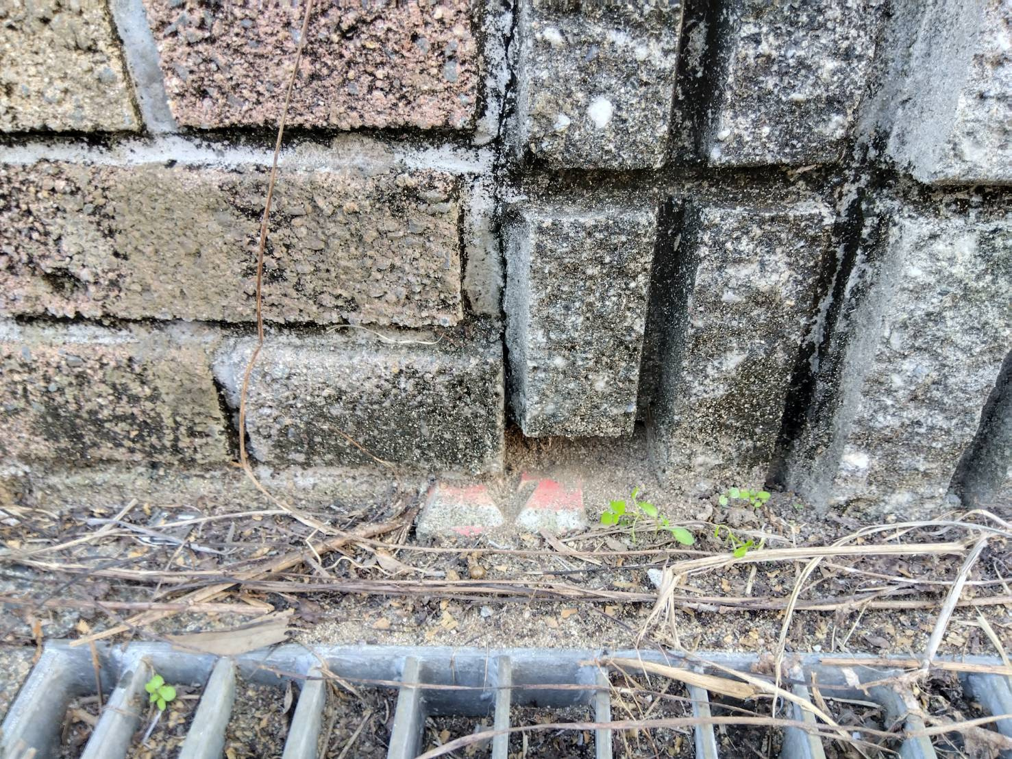 【愛西市不動産売却】境界杭の画像