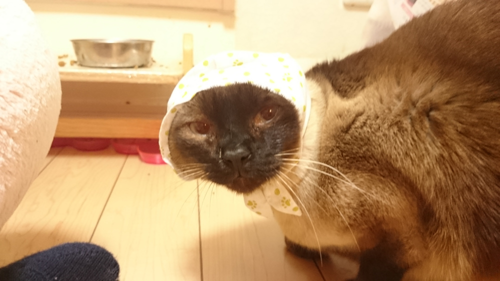 TPOを考える。の画像